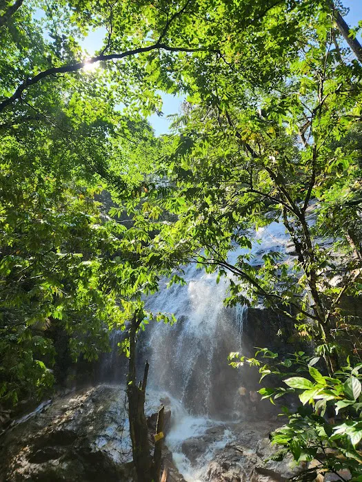 Waterfall Lata Gapi Trailhead Picture 9