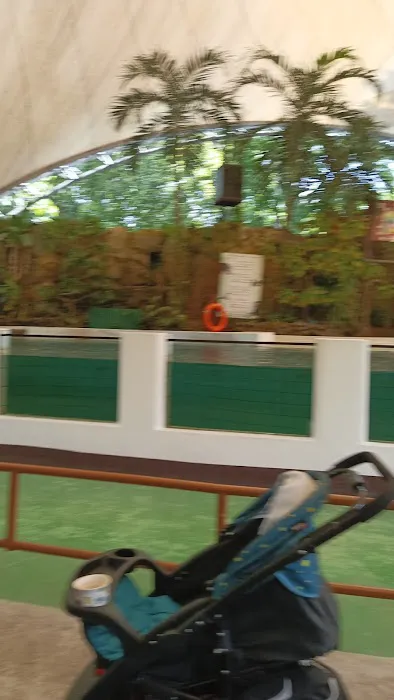 Amphitheater Show Animal Show Zoo Negara Picture 10