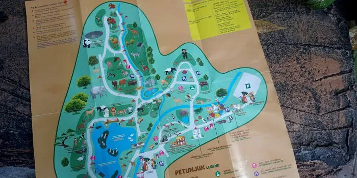 Amphitheater Show Animal Show Zoo Negara Picture 2