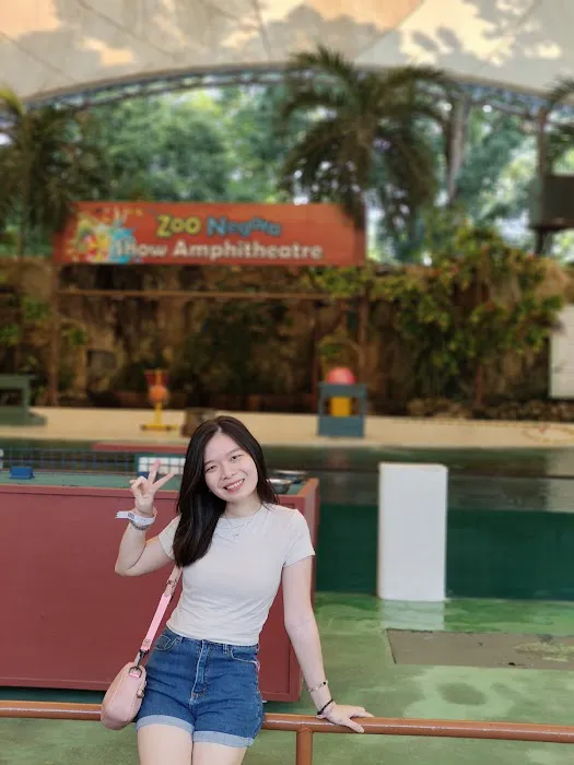 Amphitheater Show Animal Show Zoo Negara Picture 7