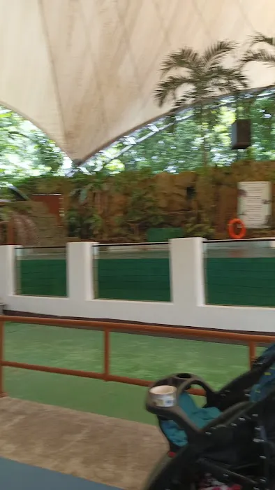 Amphitheater Show Animal Show Zoo Negara Picture 9