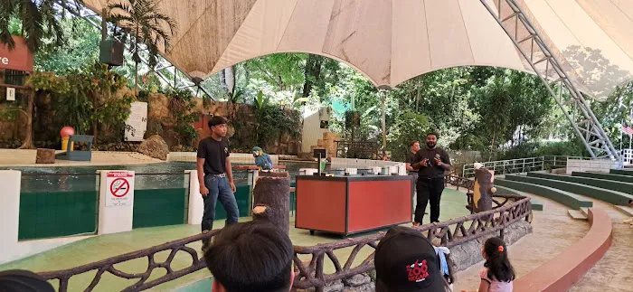 Amphitheater Show Animal Show Zoo Negara Picture 5