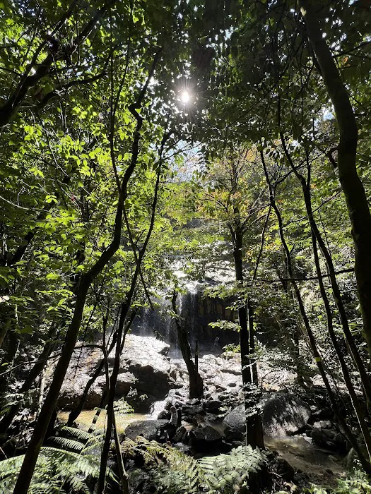 Lata Gapi Waterfall Picture 4