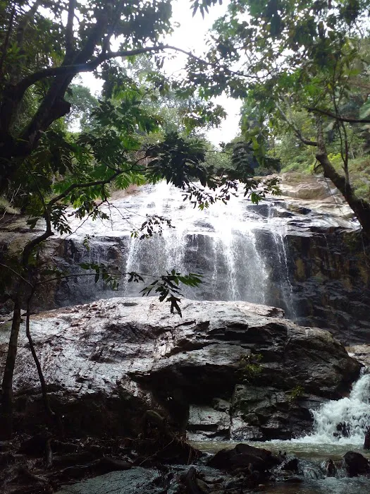 Lata Gapi Waterfall Picture 1