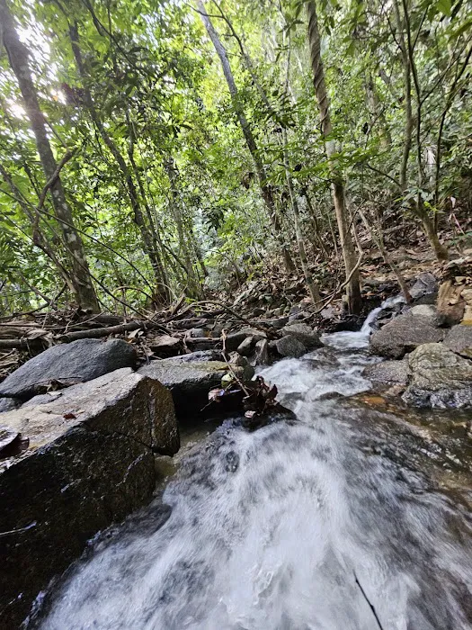 Lata Gapi Waterfall Picture 9