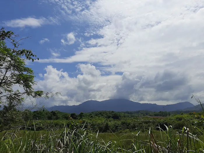Lata Gapi Waterfall Picture 7