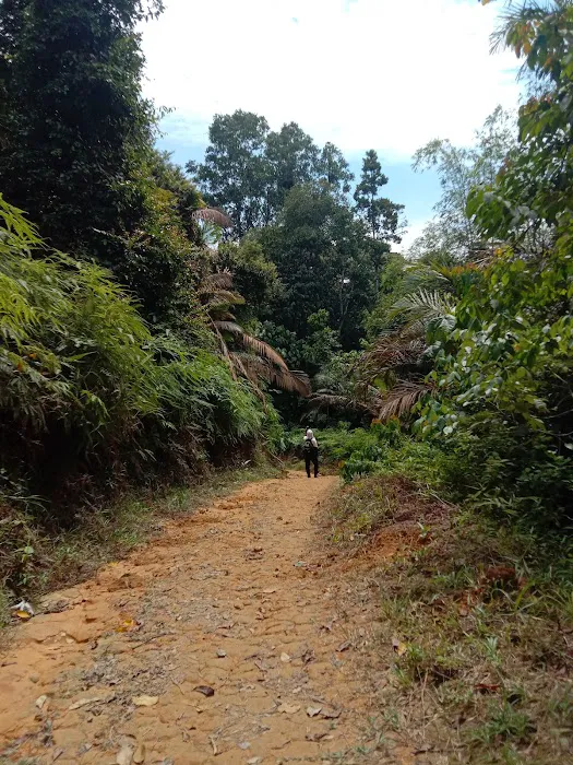 Lata Gapi Waterfall Picture 6