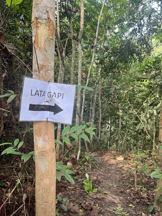 Lata Gapi Waterfall Picture 3