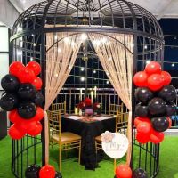 MY Surprise Party Kuantan ico