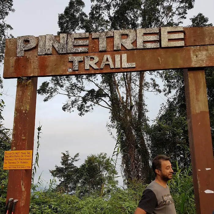 Pine Tree Trail - Entrance Picture 6