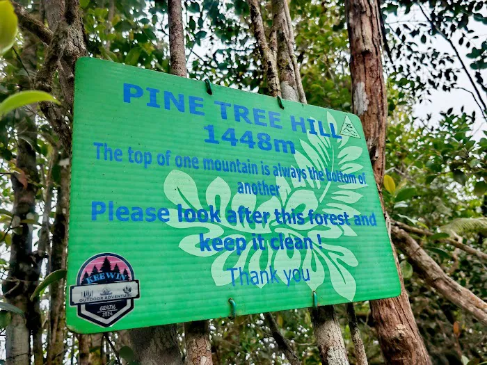 Pine Tree Trail - Entrance Picture 10