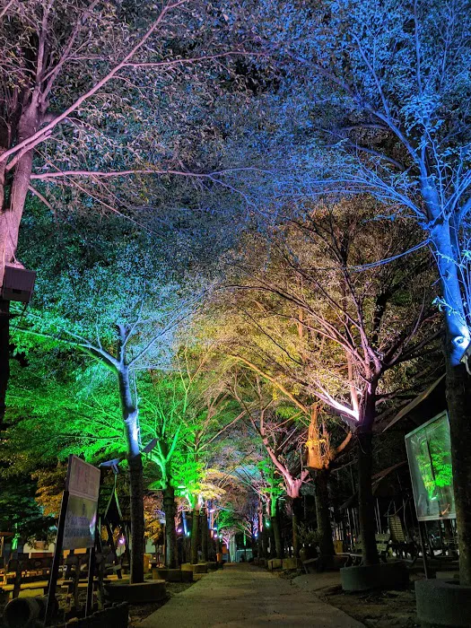 Taman I-City Jerantut Picture 6