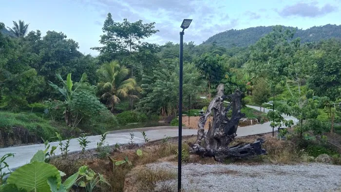 Lata Berangin Resort Picture 5