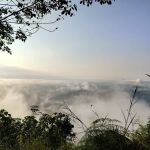 Bukit seladang