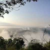 Bukit seladang ico