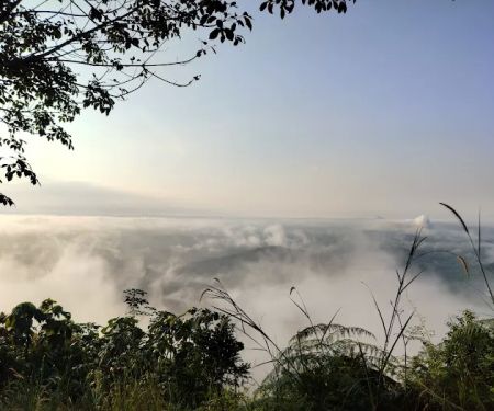 Bukit seladang