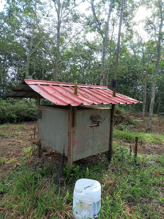 Bukit seladang Picture 8