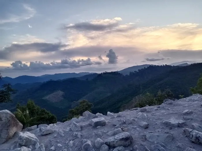 Bukit Seladang View Point Picture 9
