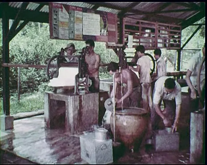 Telemong Estate 1929 Picture 1