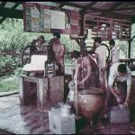 Telemong Estate 1929