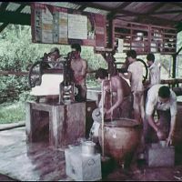 Telemong Estate 1929 ico