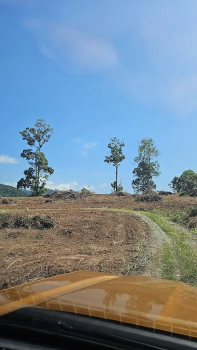 Kebun oasis jeransong Picture 2