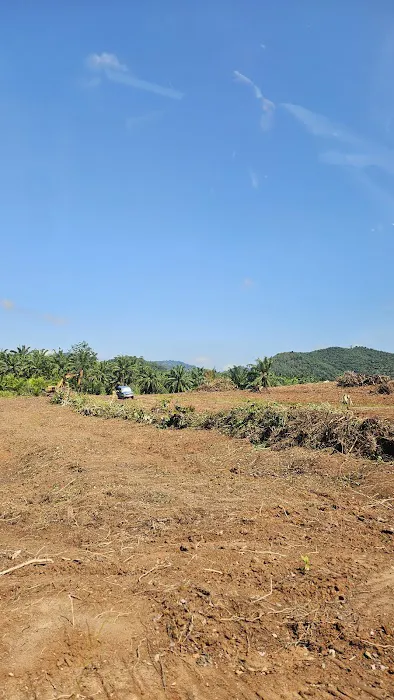 Kebun oasis jeransong Picture 1
