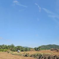 Kebun oasis jeransong ico