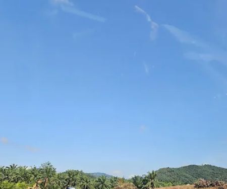 Kebun oasis jeransong