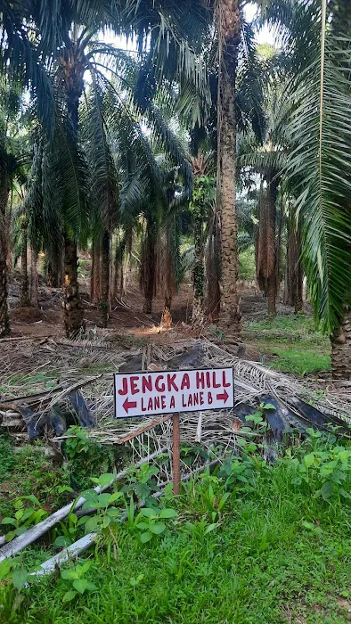 Jengka Hill [Bukit Jengka] Picture 2