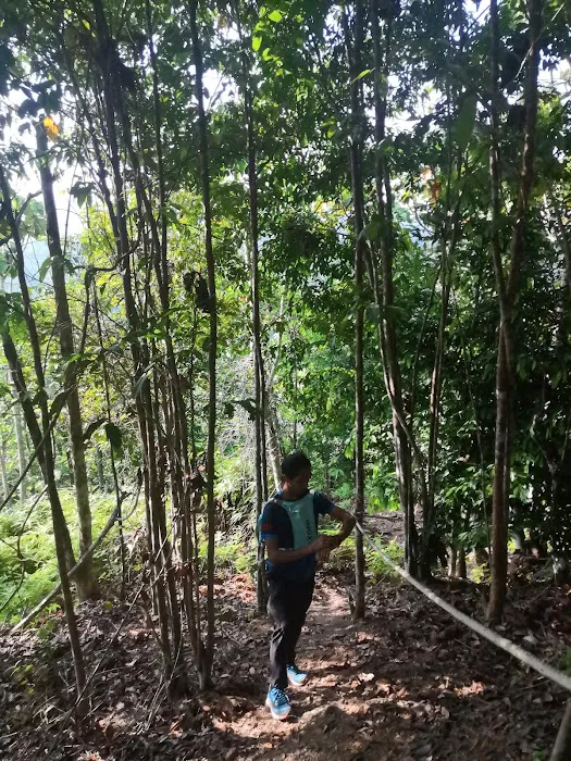 Jengka Hill [Bukit Jengka] Picture 6