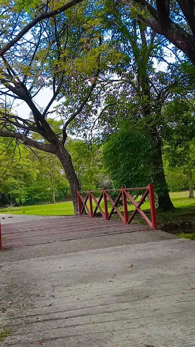 Taman Rekreasi Bandar Baru Sungai Buloh Picture 3