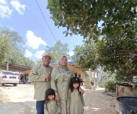 Teratak camelia