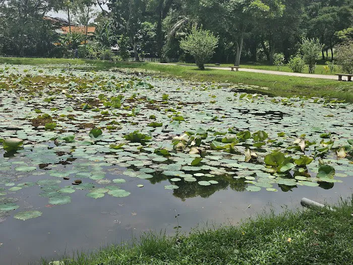 Taman Tasik Bandar Baru Sungai Buloh Picture 8