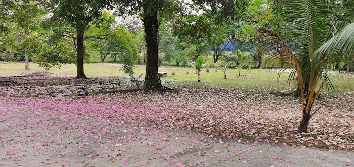 Taman Tasik Bandar Baru Sungai Buloh Picture 3