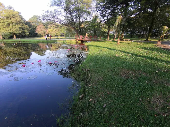 Taman Tasik Bandar Baru Sungai Buloh Picture 6
