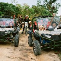 Sorock Agro Adventure ico
