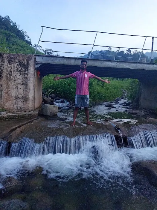 Mei Lin's MTB Crossing Picture 8