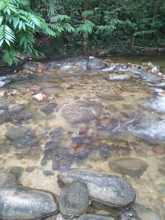 Taman Rimba Klasik Sendayu Picture 1
