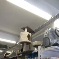 Petico.my Pet Shop Desa Setapak ico