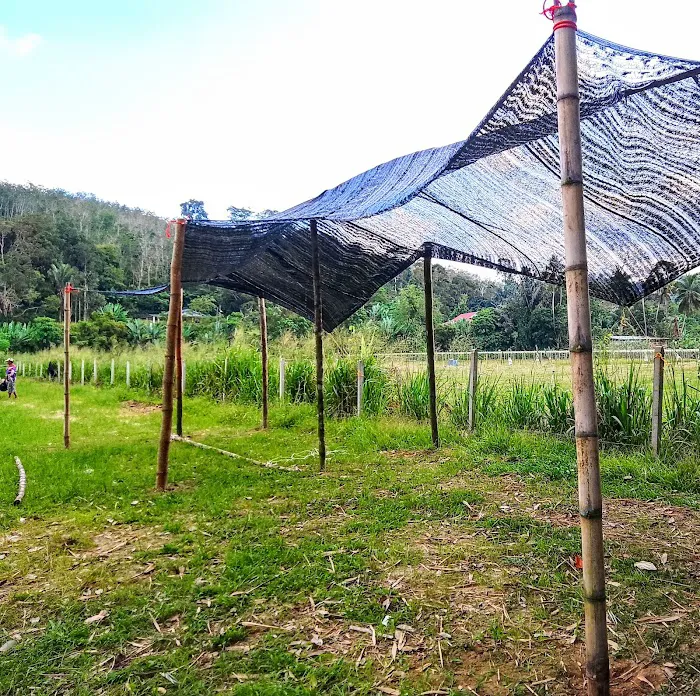 Tanggai Campsite Picture 3
