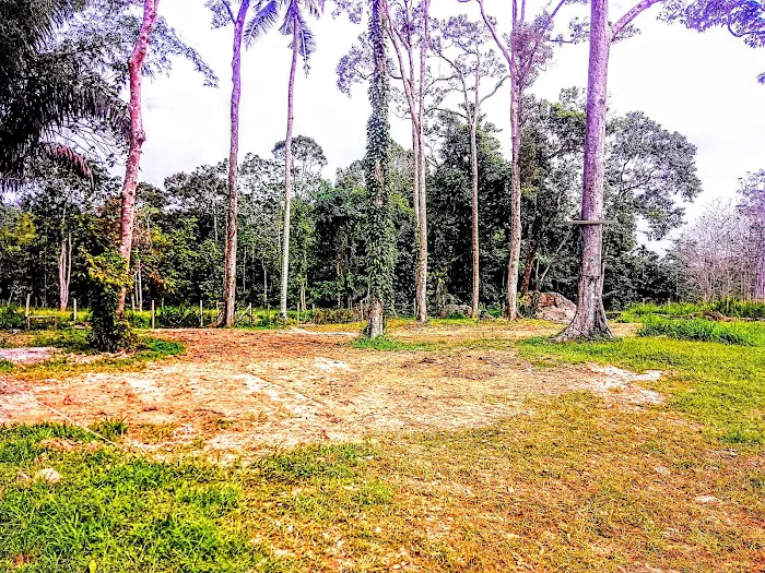 Tanggai Campsite Picture 5
