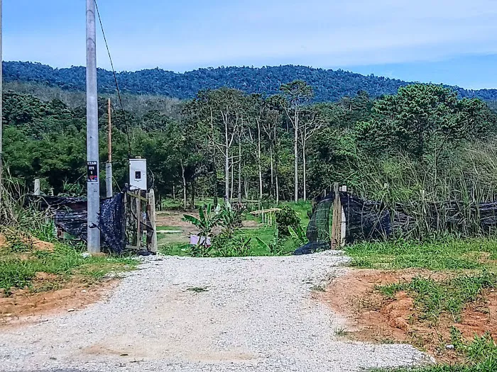 Tanggai Campsite Picture 6
