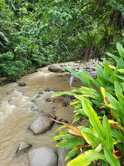 Sungai Benus Janda Baik Riverside Picture 2
