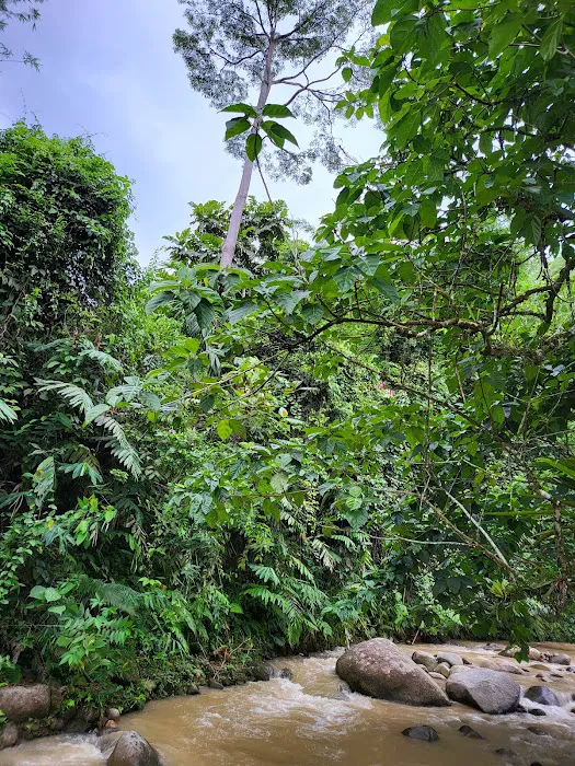 Sungai Benus Janda Baik Riverside Picture 1