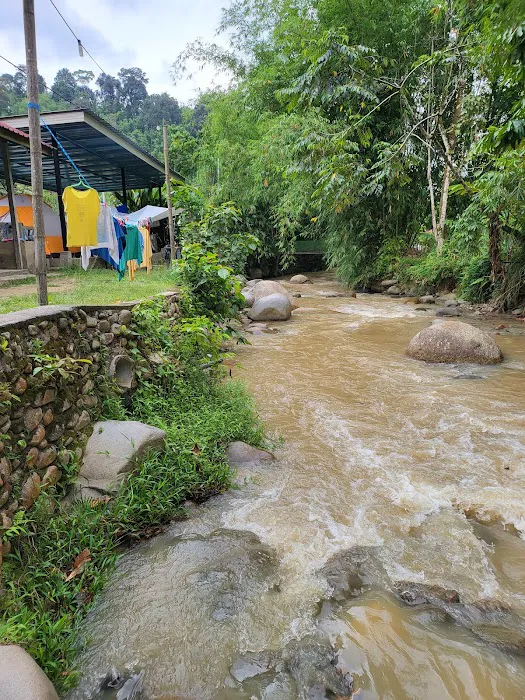 Sungai Benus Janda Baik Riverside Picture 3