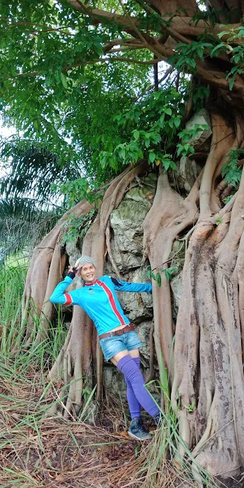 Bukit Botak Peak Picture 6