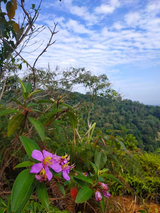 Bukit Botak Peak Picture 2