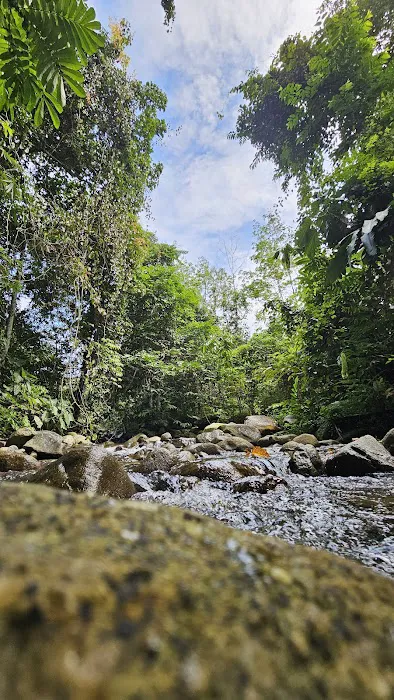Lepoh Waterfall Picture 2