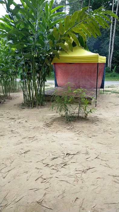 Sungai amaralep Picture 1